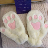 Thick Plush Winter Mittens for Women